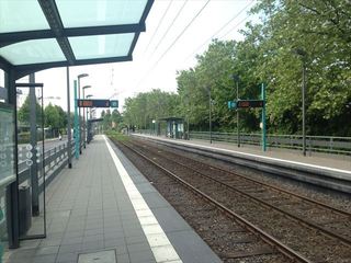 IMG_2035.jpg