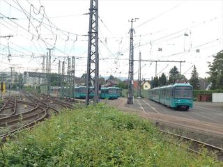 IMG_2044.jpg