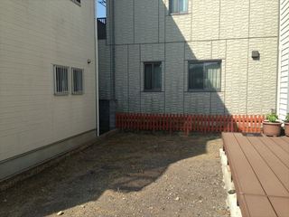 IMG_2597.jpg